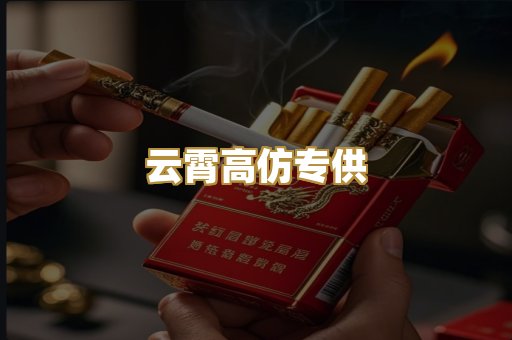 云霄高仿专供
